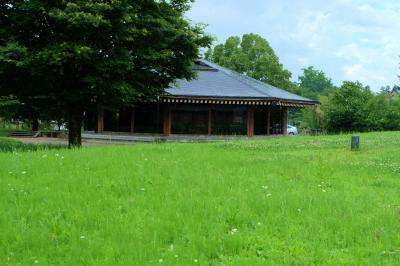 上野国分寺遺跡　(前橋市）を行く　上州の山々　山王廃寺