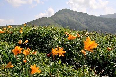 山容の優しい秋田県の山を歩いて　和賀岳編