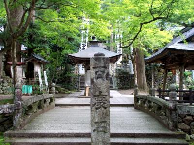 岐阜県揖斐川町「谷汲山華厳寺の青もみじ」