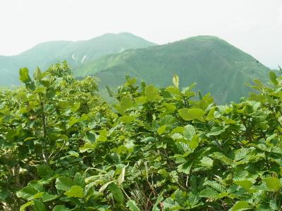 山容の優しい秋田県の山を歩いて　真昼岳編