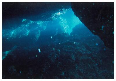 '14 沖縄"青の洞窟"初めてのダイビング