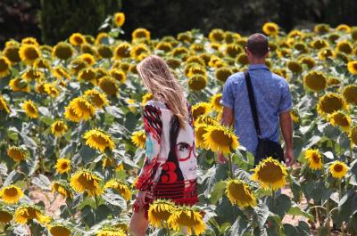 ひまわり畑を抜けて、ガラのお城にいらっしゃ～い - Pubol   