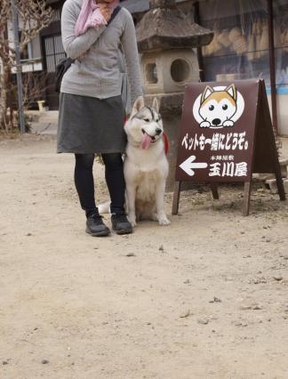 犬と一緒に那須高原へ旅行