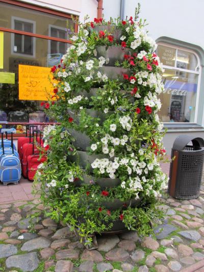 バルト三国周遊８日間⑤ エストニア