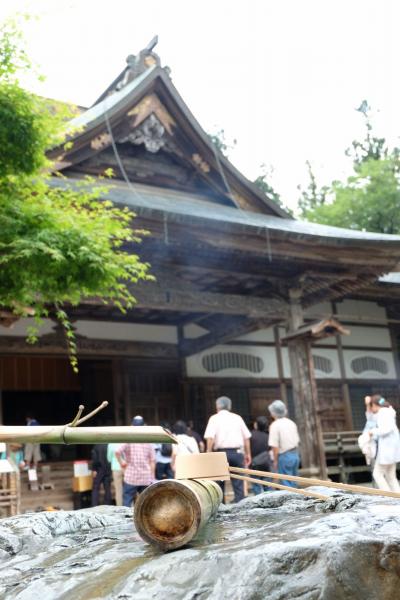 月日は百代の過客にして・・・其の弐《五月雨の降り残してや光堂》 