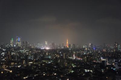 ウェスティンホテル東京 イーストビューエグゼクティブルーム宿泊記