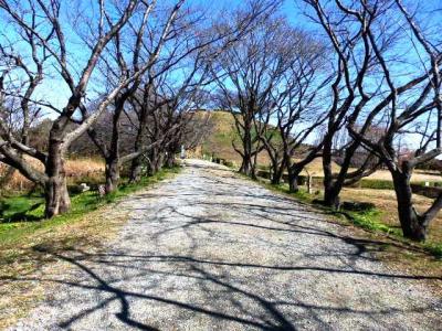 日本の旅　関東を歩く　埼玉県行田市さきたま古墳公園の埼玉古墳群（さきたまこふんぐん）、石田堤（いしだつつみ）、新倉（にいくら）パーキングエリア周辺