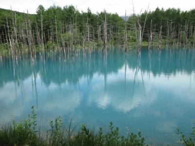 青い池（美瑛）道央から道東へ4日間