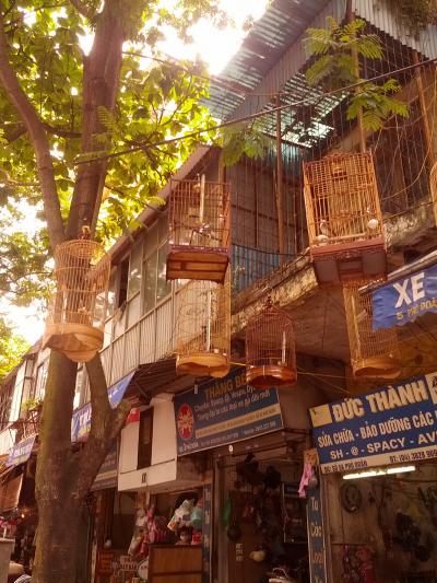 特売でハノイ！