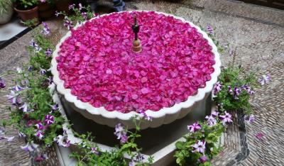 MILFLORES コルドバ パティオ祭で mil flores（千の花々）に埋もれる　-7-　JUDERIA 地区（ユダヤ人街）