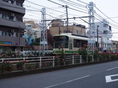 幼馴染と行く 都電荒川線 小旅行。締めは巣鴨でグルメ三昧！