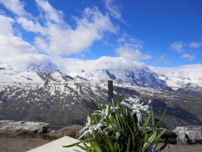 スイスを歩こう