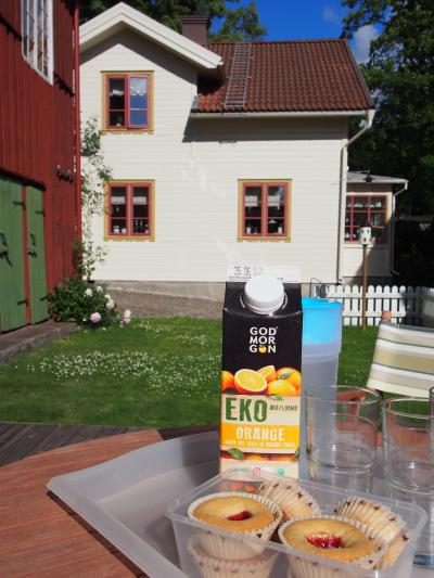 ４泊６日スウェーデン旅行～ヨーテボリ編～