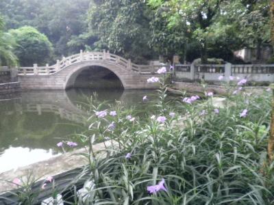 初夏のアモイ 4 (中山公園の植物園)