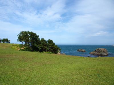 連れ合いは入院中～！だけどごめんね！十年ぶりの１人旅に行ってくるわ！　②　★☆荒々しい奇岩の磯辺、砂浜、松林、天然芝生が海際まで広がる海岸・・・と次から次へ風景が変化する海岸線☆★青森県八戸市・種差海岸☆★白浜漁港～天然芝生地★☆