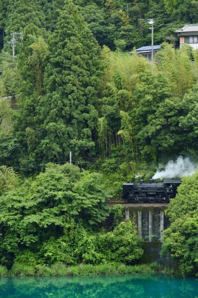 鉄道風景写真シリーズ　第4弾　”大井川沿線を走る新緑の大井川鐵道とその風景”