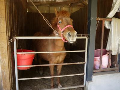 国境の島、対馬へ３