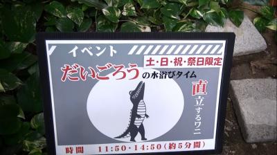 松野町虹の森公園でおさかな館探検隊になった！！
