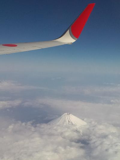 石垣島へ出張でしたが、休みを挟んでバカンス