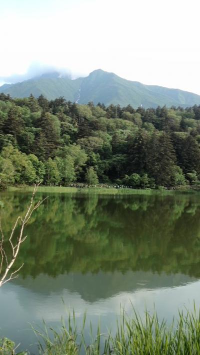 念願の利尻・礼文