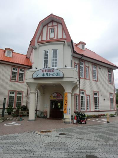 美肌の湯　嬉野温泉