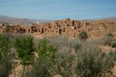 おひとり参加の旅　悠久のモロッコ周遊　10日間　エルフード発トドラ渓谷へ⑥