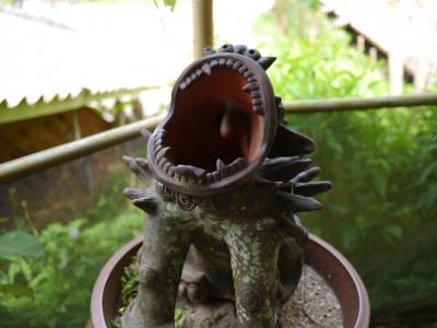 台風をすり抜けて沖縄へ・・・Day2