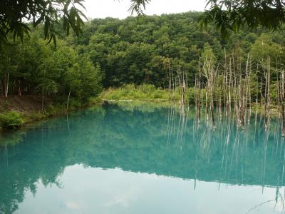 爽やか今夏二度目の北海道　十勝岳と憧れの小樽観光　１日目