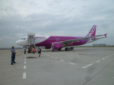 Peach　楽桃航空で行く　成田～関西～台北　台湾ごはん旅　2014年6月