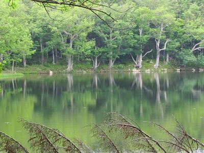 道東・知床五湖ハイキング３・四湖