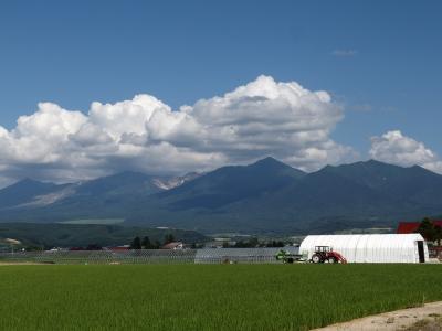 爽やか今夏二度目の北海道　十勝岳と憧れの小樽観光　2日目十勝岳に登る&札幌観光