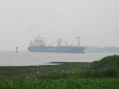 &#21556;淞砲台湾湿地森林公園