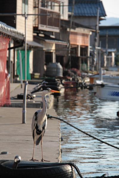 京都 ≪「伊根の舟屋」の中 丹後半島≫
