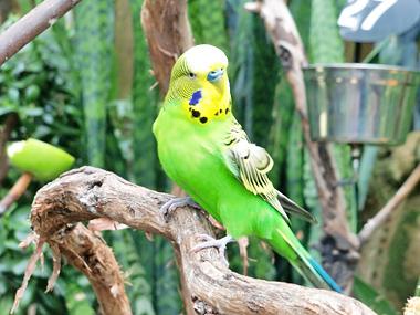 早春のバンクーバー旅行 3日目 その2