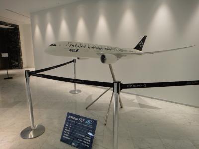 初めてのハワイ① 成田空港からUA880で出発!~第1ターミナルANAラウンジとUA880ビジネスクラス~