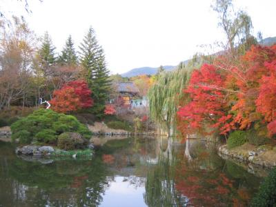 父と韓国1★慶州★紅葉が綺麗だった仏国寺ほか