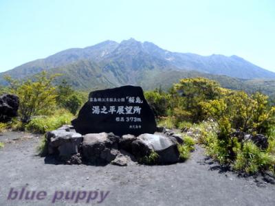 桜島に行きました。②　（ツアー、足湯、郵便局、お散歩）　里帰り編