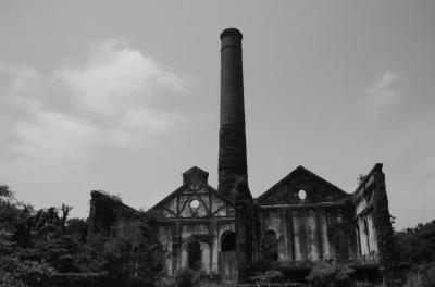 瀬戸内Trip⑤ 島の自然の中でひっそりと朽ちていく近代化の面影 犬島