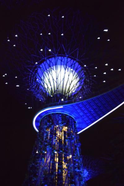 (3)シンガポールは夜景もHAPPY　でーす！