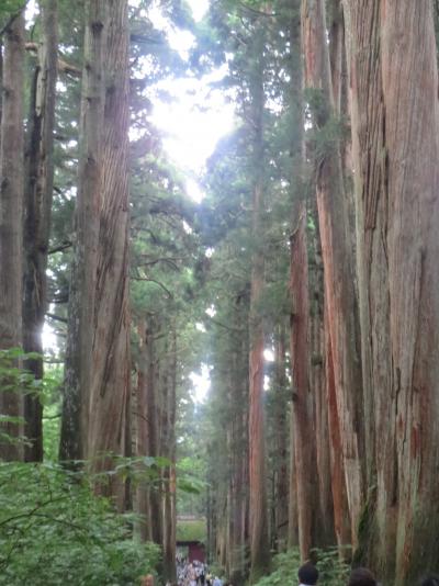 【2014年プレ夏休み】7月の3連休は長野旅（前編）～三世代キャンプと戸隠神社～