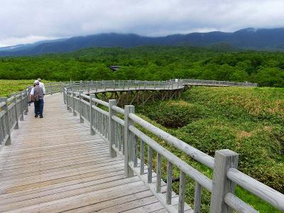 道東・知床五湖ハイキング８・高架木道