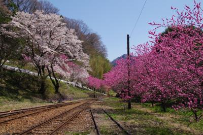 2014年4月　栃木方面