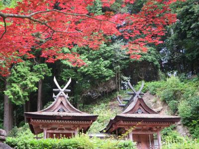 母・弟と行く円成寺・芳徳禅寺☆柳生一族の兜や鎧を、見てきました～ヽ(^o^)丿