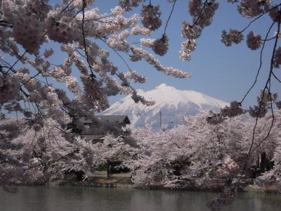 再び秋田へ（２）　～県境越えてちょっと桜の弘前まで～