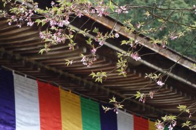 アイラブ仏像めぐり　湖東三山　西明寺　金剛輪寺　百済寺