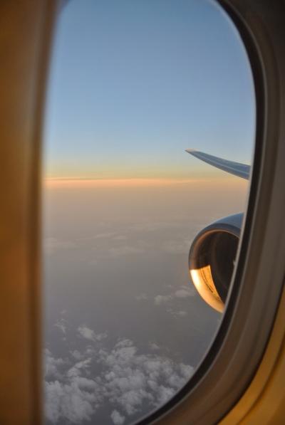 ＡＮＡで行くドーミーイン富山、苫小牧