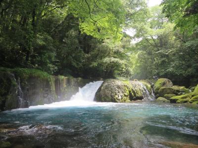 涼を求めて熊本の旅 1 菊池渓谷へ 7/21