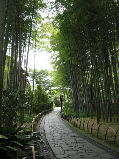 2014夏　修善寺さんぽ