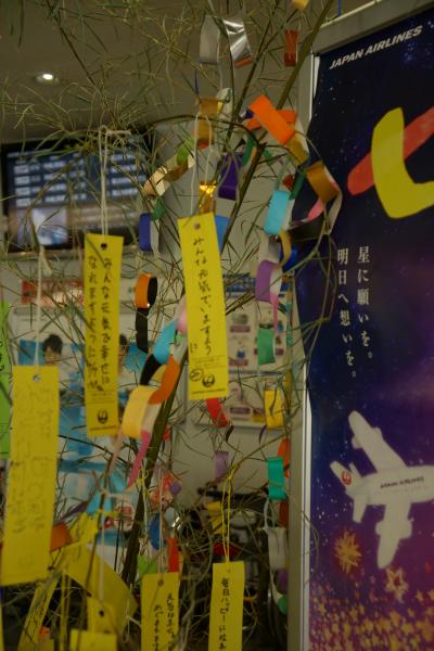 球美の島～はじめての久米島～　２０１４⑤（台風接近編）