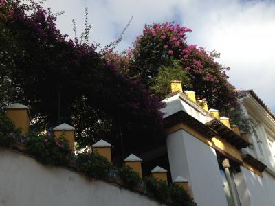 NO.4 サッカー観戦とクリスマスのスペイン周遊~アンダルシアへ 4日目 セビージャからグラナダ